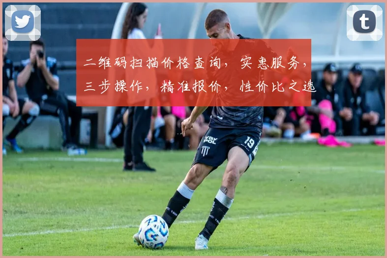 二维码扫描价格查询，实惠服务，三步操作，精准报价，性价比之选，为您节省每一分。